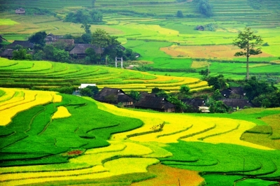 Tour Hà Nội - Lào Cai - Sapa - Hà Khẩu