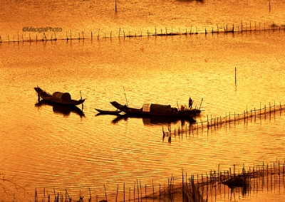 Chiều trên phá Tam Giang