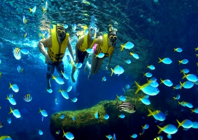 Tour Hội An - Đảo Cù Lao Chàm